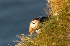 20260621-IMG_6788-2_website