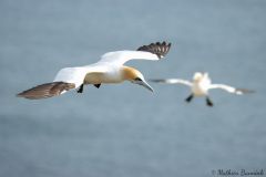 20260623-IMG_7172-2_website