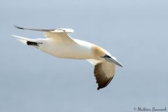 20260623-IMG_7193-2_website