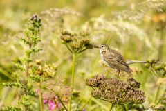 20260623-IMG_7201-2_website