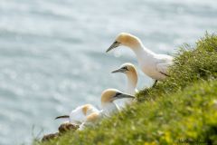 20260623-IMG_7205-2_website