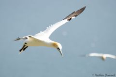 20260623-IMG_7222-2_website