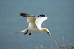 20260623-IMG_7238-2_website