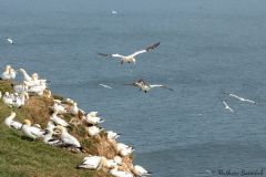 20260623-IMG_7258-2_website