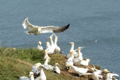 20260623-IMG_7269-2_website