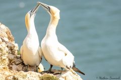 20260623-IMG_7285-2_website