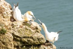 20260623-IMG_7299_website