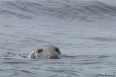 20260625-IMG_7397-2_website