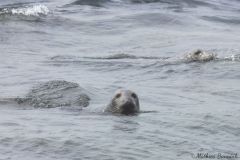 20260625-IMG_7399-2_website