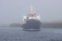 20260625-IMG_7438-2_website