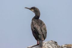 20260625-IMG_7460-2_website