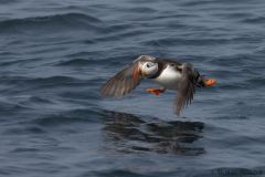 20260625-IMG_7468-2_website