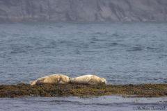 20260625-IMG_7477-2_website