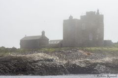 20260625-IMG_7494-2_website