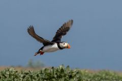 20260625-IMG_7615-2_website