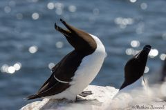20260625-IMG_7667-2_website