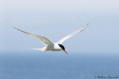 20260625-IMG_7741-2_website