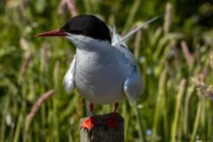 20260625-IMG_7767-2_website