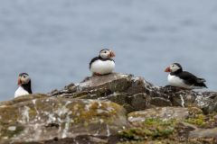 20260626-IMG_7961-2_website