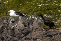 20260629-IMG_8141-2_website