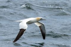 20260629-IMG_8237-2_website