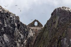 20260629-IMG_8246-2_website