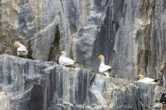 20260629-IMG_8329-2_website