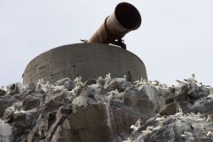 20260629-IMG_8330-2_website