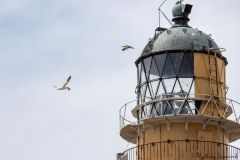 20260629-IMG_8336-2_website