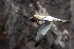 20260629-IMG_8380-2_website