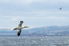 20260629-IMG_8398-2_website