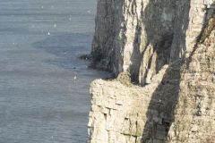 20260704-IMG_8481-2_website