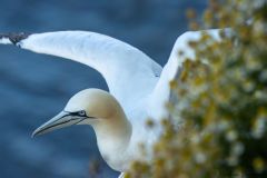 20260704-IMG_8535-2_website