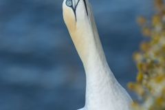 20260704-IMG_8546-2_website