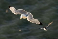 20260704-IMG_8674-2_website