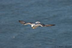 20260704-IMG_8679-2_website