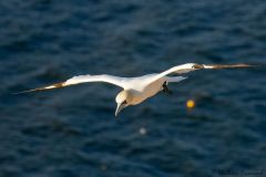 20260704-IMG_8693-2_website