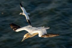 20260704-IMG_8696-2_website