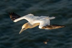 20260704-IMG_8697-2_website