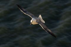 20260704-IMG_8699-2_website