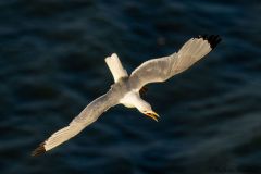20260704-IMG_8710-2_website