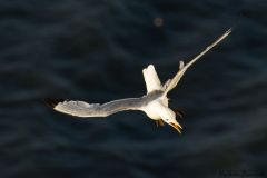 20260704-IMG_8711-2_website