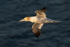 20260704-IMG_8769-2_website