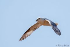20260619-C61A6709-2_website
