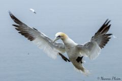 20260621-C61A7707_website