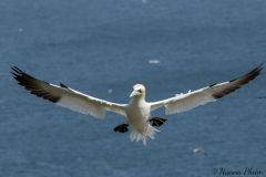20260623-C61A8917_website