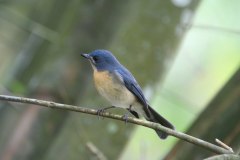 IMG_7340