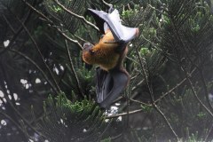 IMG_7348