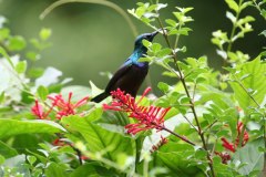 IMG_7352
