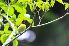 IMG_7353